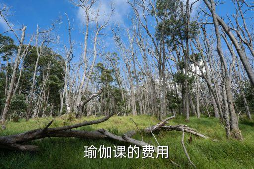 健身瑜伽课多少钱一年，扬州学习瑜珈多少钱