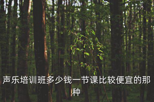 声乐培训班多少钱一节课比较便宜的那种
