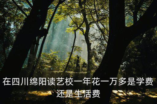 在四川绵阳读艺校一年花一万多是学费还是生活费