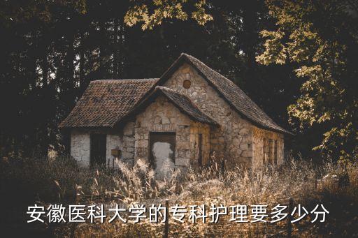 安徽医科大学的专科护理要多少分