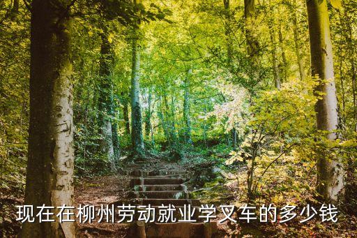 现在在柳州劳动就业学叉车的多少钱