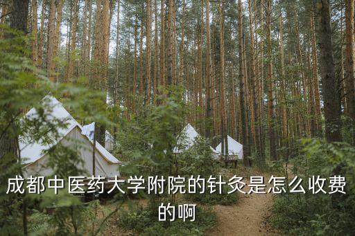 成都中医药大学附院的针灸是怎么收费的啊