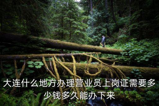 大连什么地方办理营业员上岗证需要多少钱多久能办下来