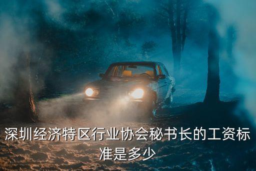 深圳经济特区行业协会秘书长的工资标准是多少