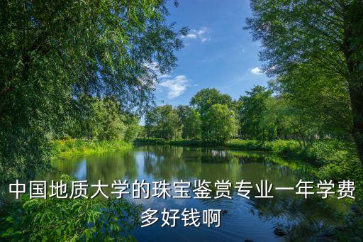 深圳珠宝学校学费多少钱，请问您知道番禹学院珠宝鉴定专业学费是多少吗是按学期算的还