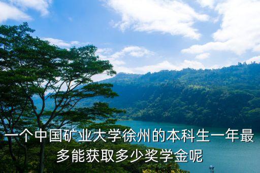 一个中国矿业大学徐州的本科生一年最多能获取多少奖学金呢