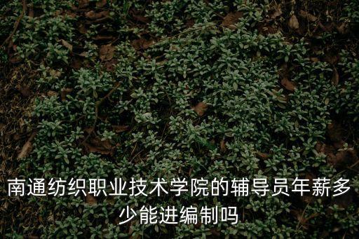 南通纺织职业技术学院的辅导员年薪多少能进编制吗