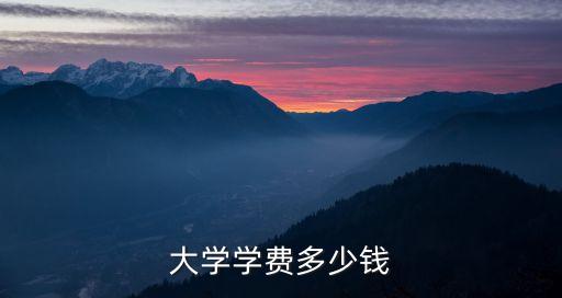 南宁学院是学费多少钱啊，南宁华南学院的学费是多少钱一期