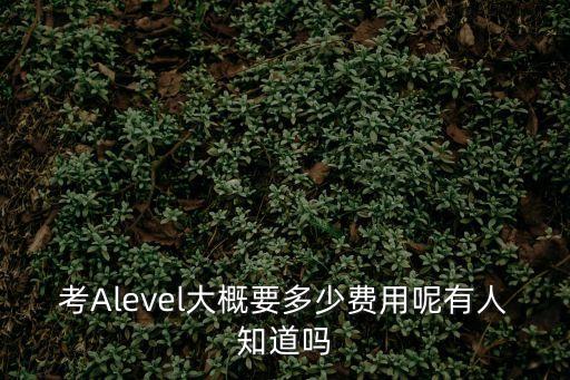 考Alevel大概要多少费用呢有人知道吗