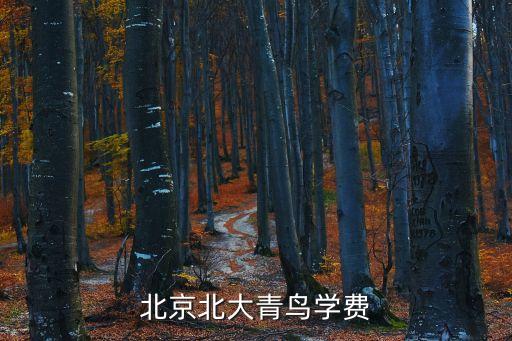 北京北大青鸟学费