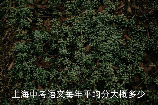 上海中考语文每年平均分大概多少
