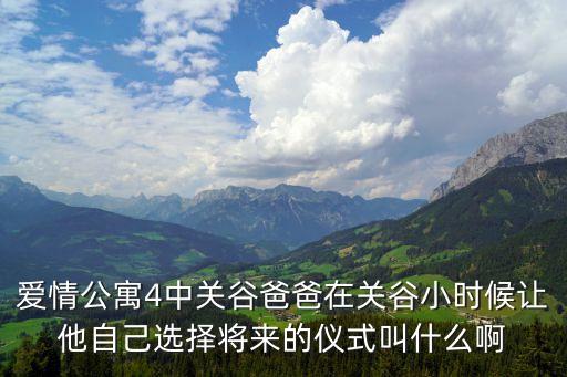 爱情公寓4中关谷爸爸在关谷小时候让他自己选择将来的仪式叫什么啊