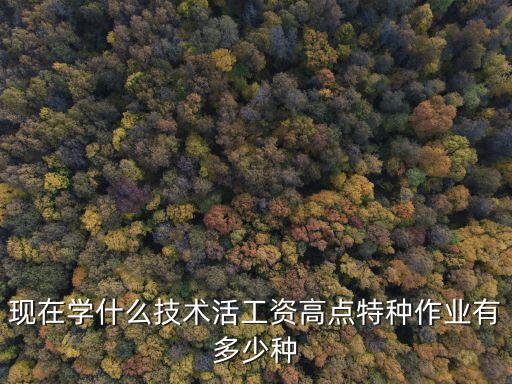 现在学什么技术活工资高点特种作业有多少种