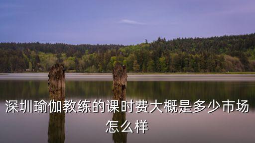 深圳瑜伽教练的课时费大概是多少市场怎么样