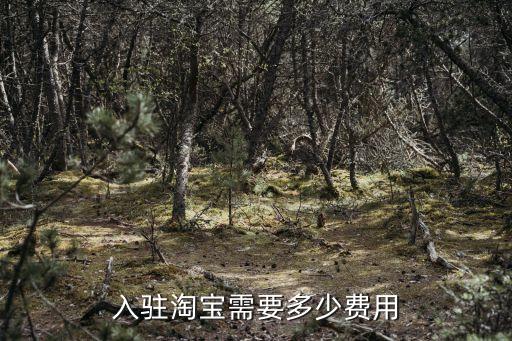 入驻淘宝需要多少费用
