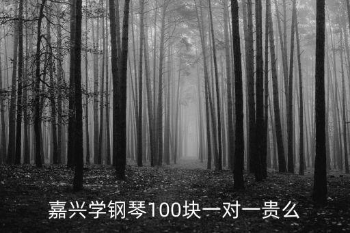 嘉兴学钢琴100块一对一贵么