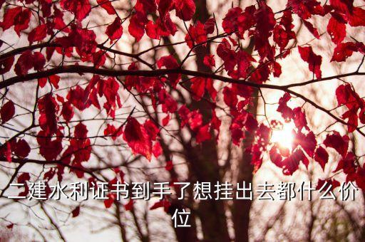 二建水利证书到手了想挂出去都什么价位
