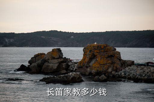 长笛家教多少钱