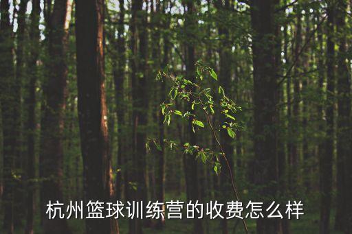 杭州篮球训练营的收费怎么样