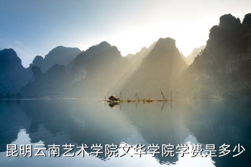 昆明艺校学费是多少，2009年昆明艺术学院学费要多少