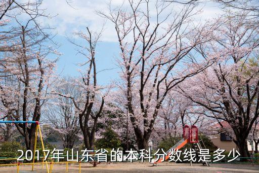 2017年山东省的本科分数线是多少