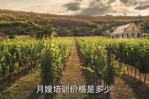 石河子市培训月嫂收费是多少，月嫂培训班要多少钱