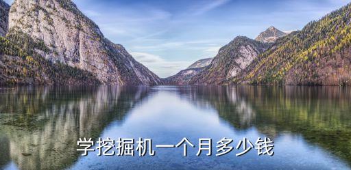 学挖掘机一个月多少钱