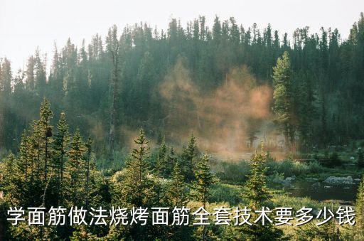 学面筋做法烧烤面筋全套技术要多少钱
