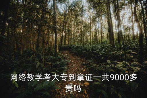 网络教学考大专到拿证一共9000多贵吗