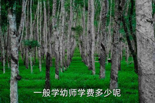 一般学幼师学费多少呢