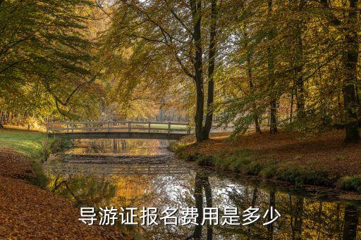 导游证报名费用是多少