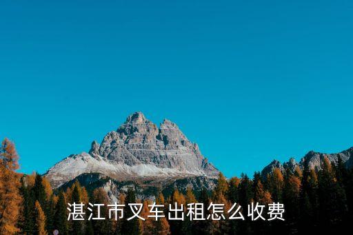 湛江市叉车出租怎么收费
