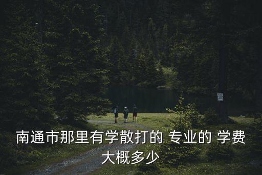 南通市那里有学散打的 专业的 学费大概多少