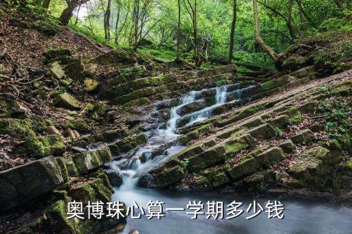 奥博珠心算一学期多少钱