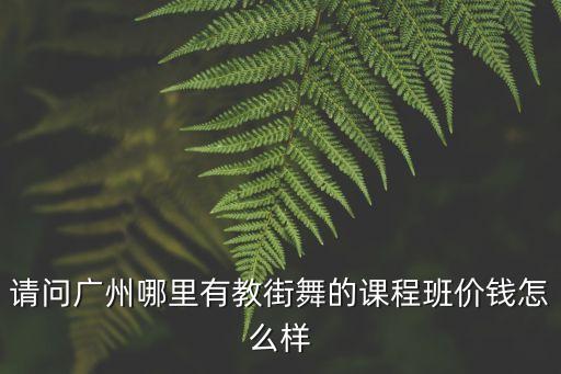 广州市练舞多少钱，现在广东女DJ在广州一般多少钱一个月