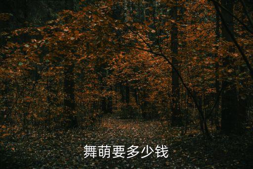 舞萌要多少钱