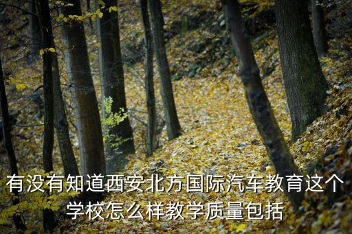 有没有知道西安北方国际汽车教育这个学校怎么样教学质量包括