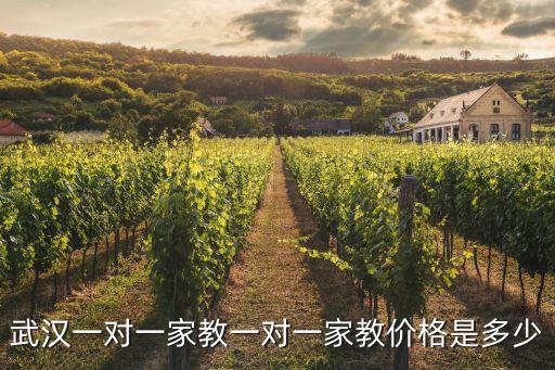 武汉一对一家教一对一家教价格是多少