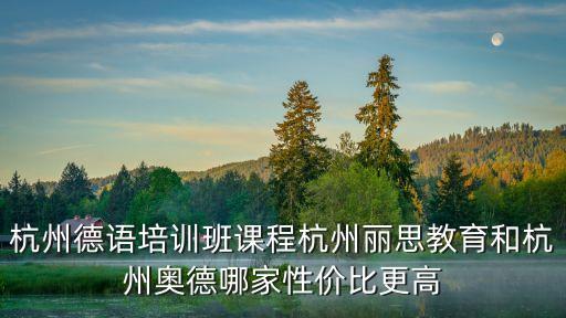 杭州德语培训班课程杭州丽思教育和杭州奥德哪家性价比更高
