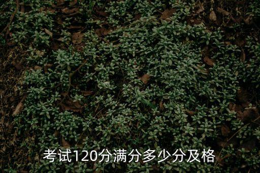 考试120分满分多少分及格