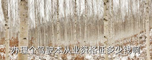 办理个驾驶本从业资格证多少钱啊