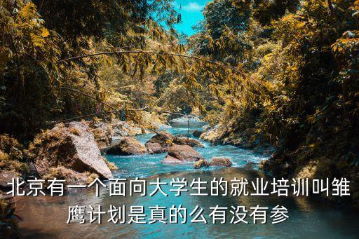 北京有一个面向大学生的就业培训叫雏鹰计划是真的么有没有参