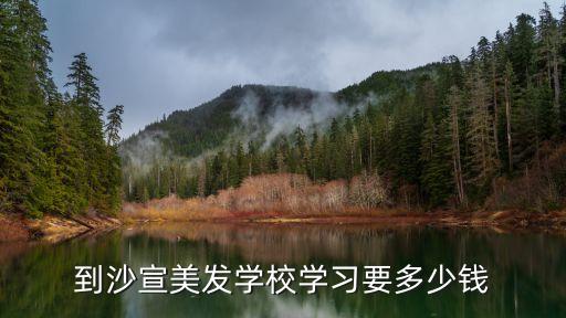 到沙宣美发学校学习要多少钱