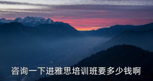 咨询一下进雅思培训班要多少钱啊