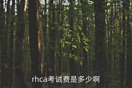 rhca考试费是多少啊