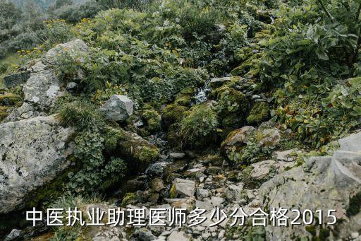 国家中医助理医师多少分合格15，中医助理医师考试多少分及格15年