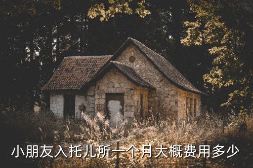 小朋友入托儿所一个月大概费用多少