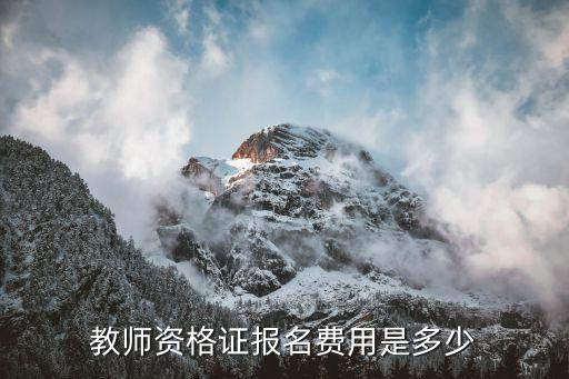 上海教师资格证报考多少钱，教资报名费用一共多少钱