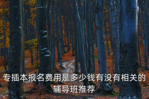 专插本报名费用是多少钱有没有相关的辅导班推荐