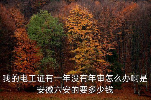 我的电工证有一年没有年审怎么办啊是安徽六安的要多少钱